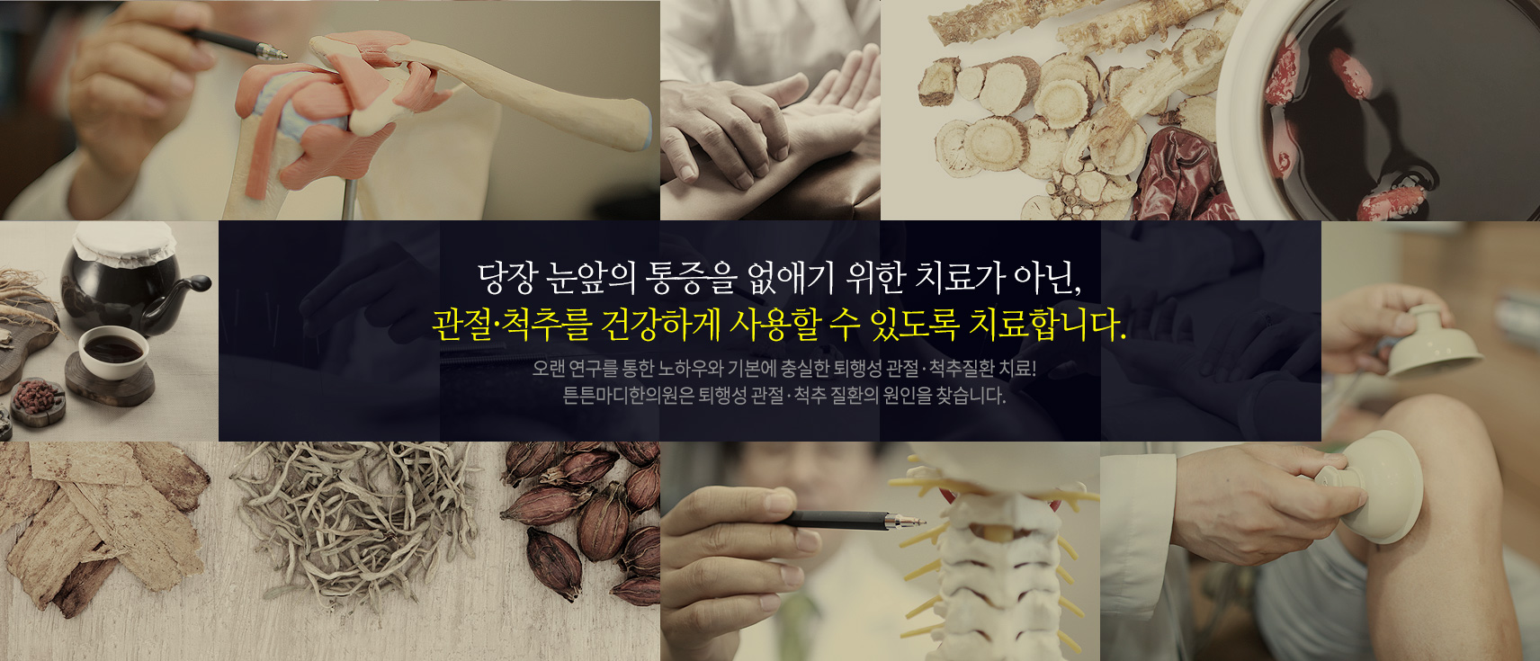 관절·척추를 건강하게 사용할 수 있도록 근본을 치료합니다.