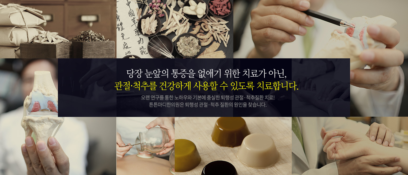 당장 눈앞의 통증을 없애기 위한 치료가 아닌,